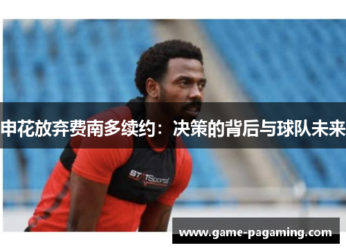 申花放弃费南多续约：决策的背后与球队未来