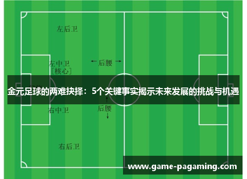 金元足球的两难抉择：5个关键事实揭示未来发展的挑战与机遇