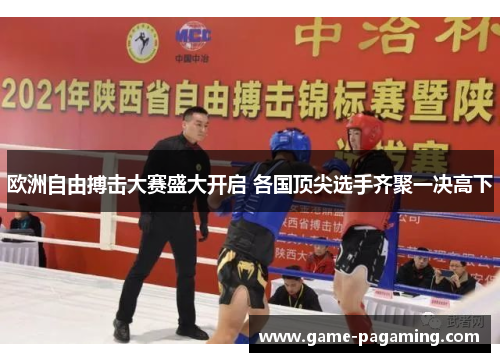 欧洲自由搏击大赛盛大开启 各国顶尖选手齐聚一决高下