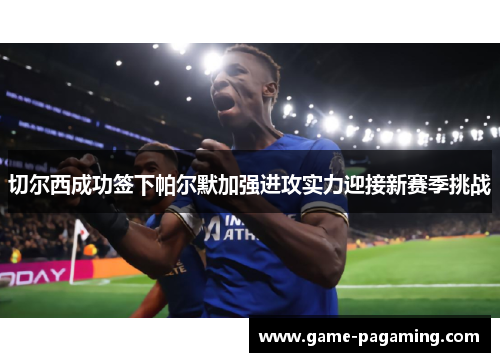 切尔西成功签下帕尔默加强进攻实力迎接新赛季挑战